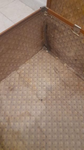 Maleta rígida regulable