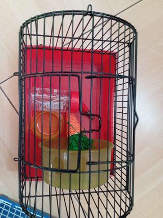 Jaula hamster
