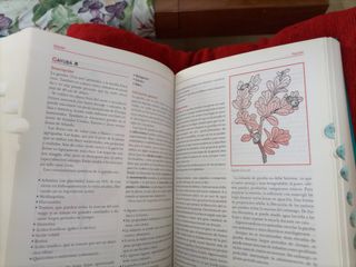 Enciclopedia de las Medicinas Alternat