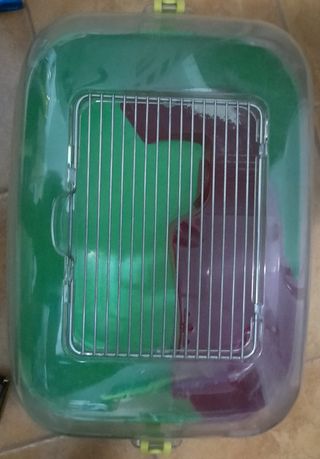 Jaula Hamster