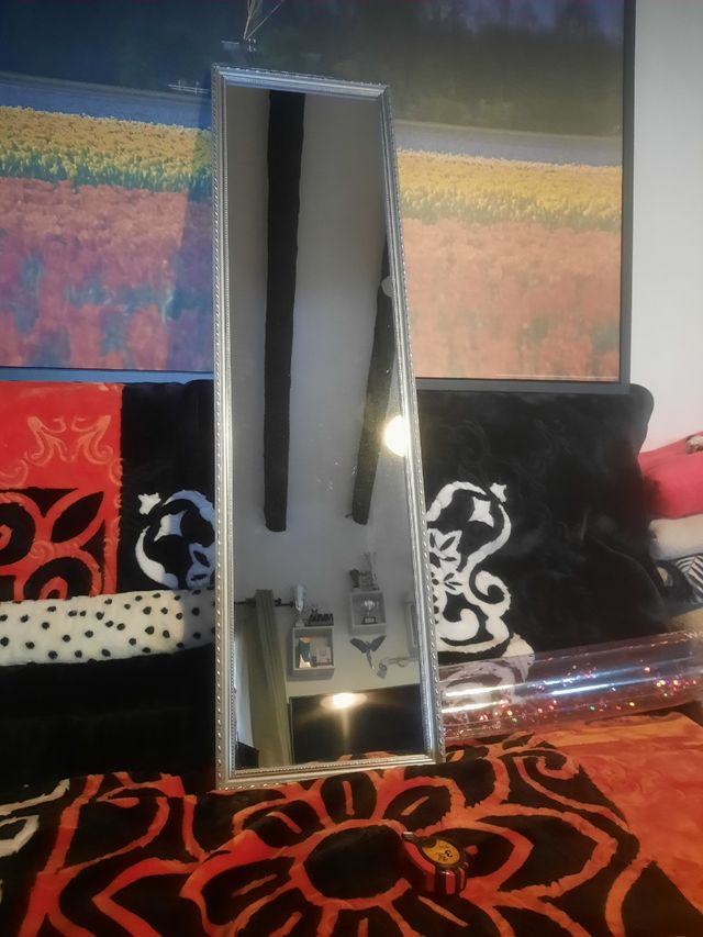 Espejo 35 x 125 marco Plateado.