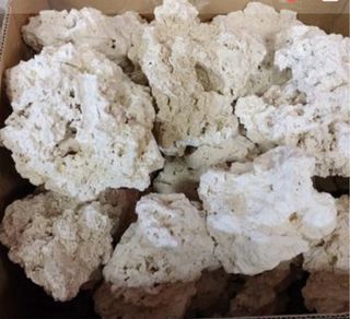 Roca acuario marino aquascape