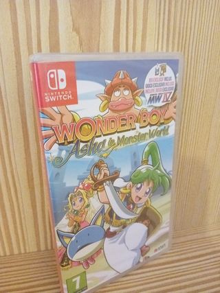 Wonder boy asha in Monster world