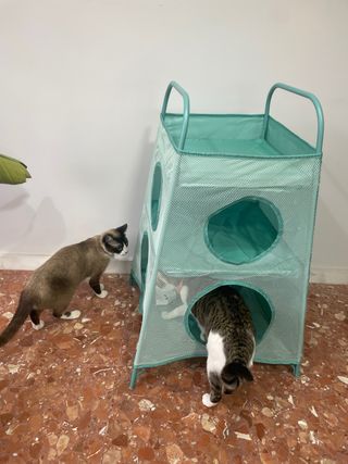 Almacejane juguetes o cama gatos