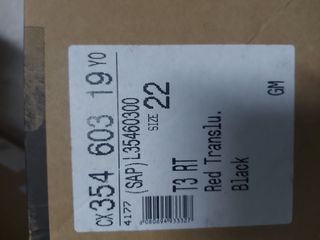 Botas esquí niño/ niña