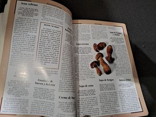 Setas de prados y bosques.