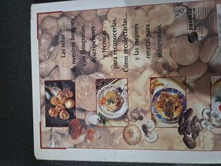 Setas de prados y bosques.