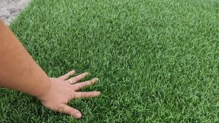 Césped artificial reutilizado