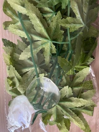 Plantas artificiales para terrario.