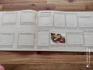 Album de cromos Ciencia y Arte incompleto