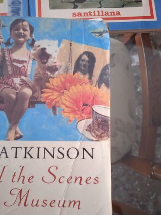 Lote 8 libros en inglés tres son de estudio peque