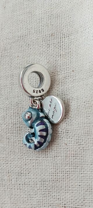 Charm de plata 925 colgante