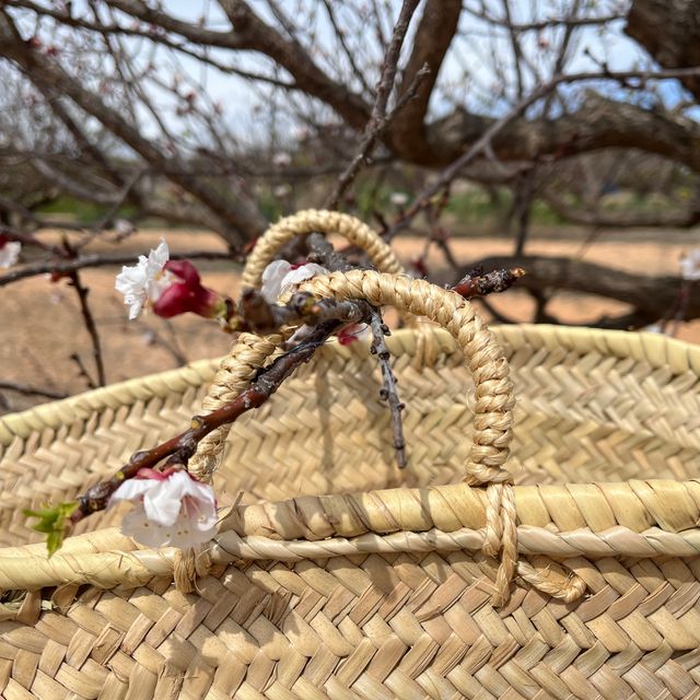 Capazo artesanal para decoración o uso personal.