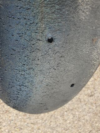 Juego neumáticos slick circuito