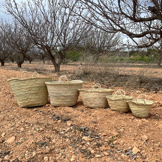 Capazos de palma para decoración o eventos