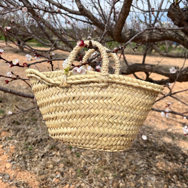 Capazos de palma para decoración o eventos