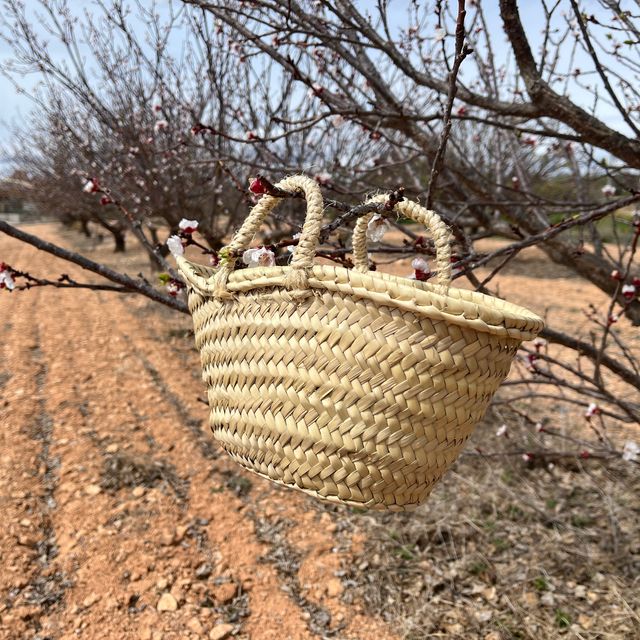 Capazos de palma para decoración o eventos