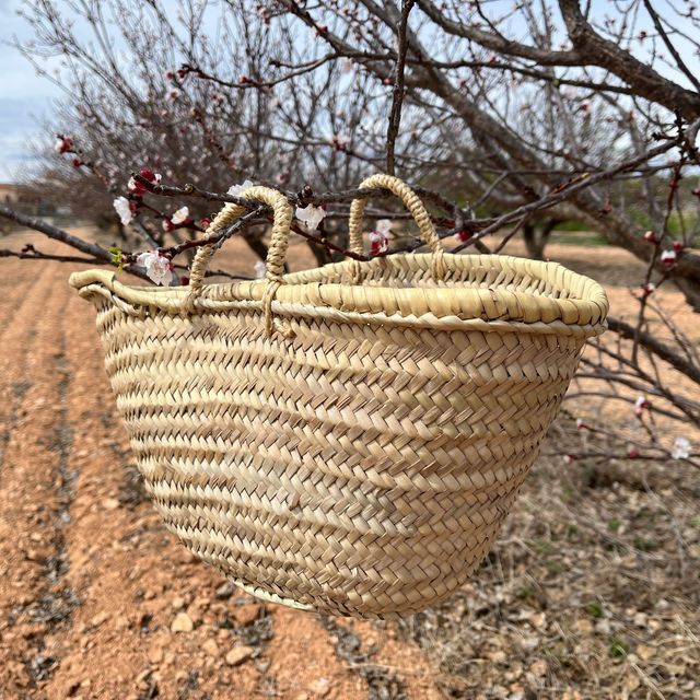 Capazos de palma para decoración o eventos