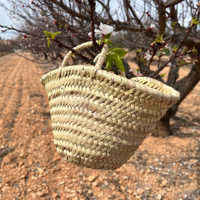 Capazos de palma para decoración o eventos