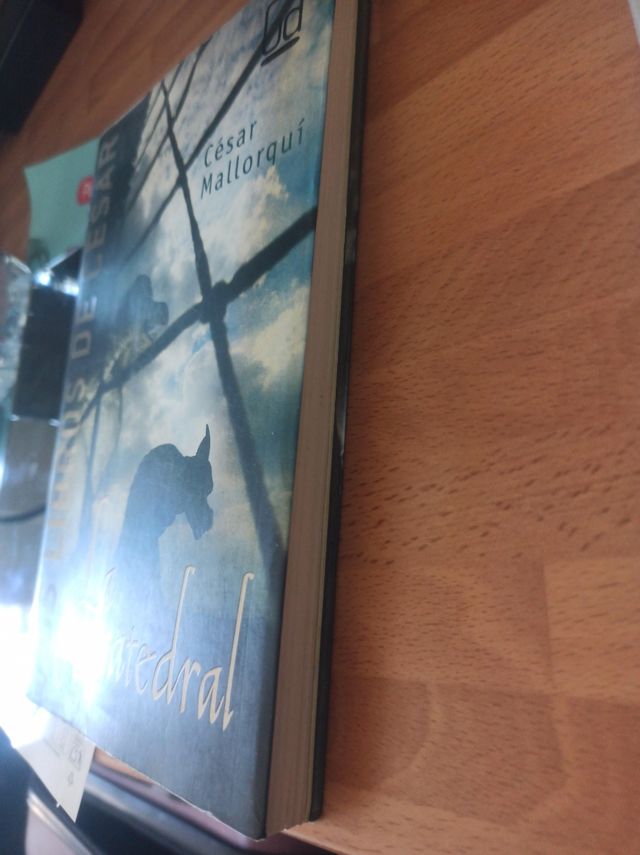 La catedral de cesar mallorqui