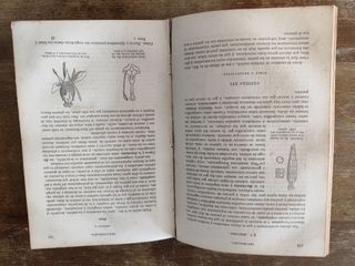 Botánica. Organografía - Miguel Colmeiro. 1871