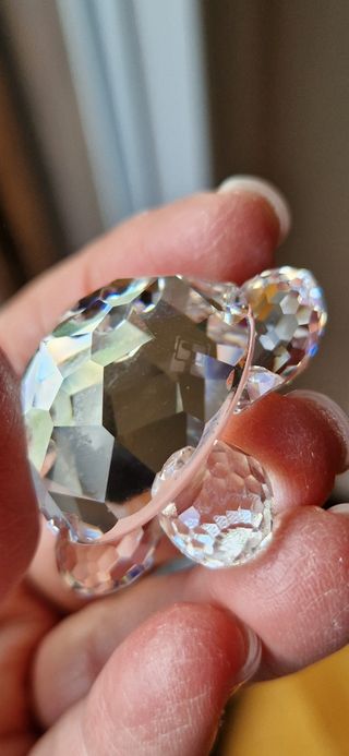 Tartaruga in cristallo