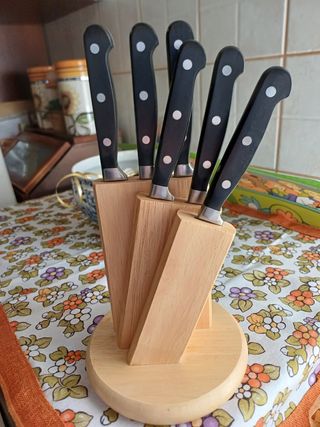 Ceppo con 6 coltelli. 