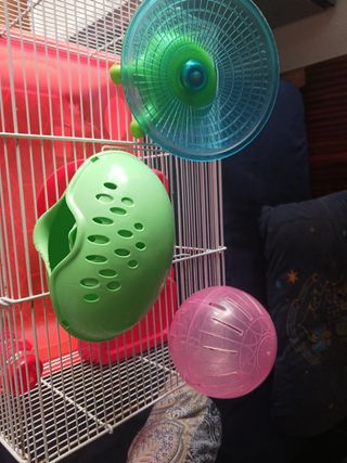 Jaula de hamster