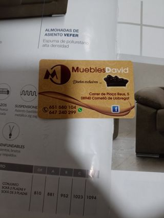 SOFA CON APERTURA ITALIANA INCLUIDO COCHON