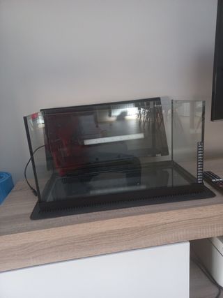 pecera  36 litros todo incluido