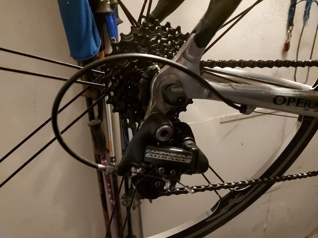 Bicicletta 🚲 da strada per donna