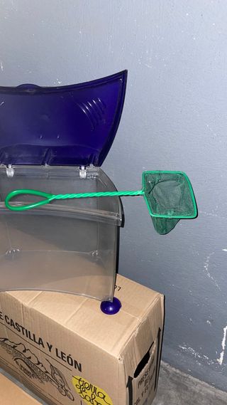 Pecera pequeña de plástico