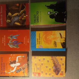 Libros de literatura juvenil !Se puede comprar uni