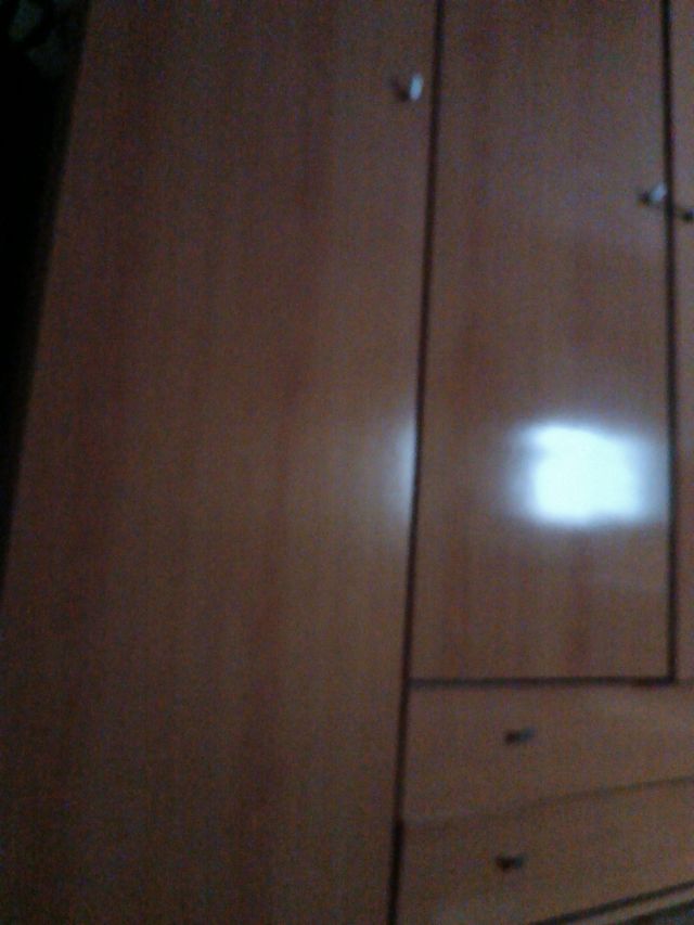 Profesional en mudanzas, montador  
