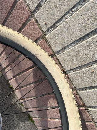 Bicicleta de descenso specialized