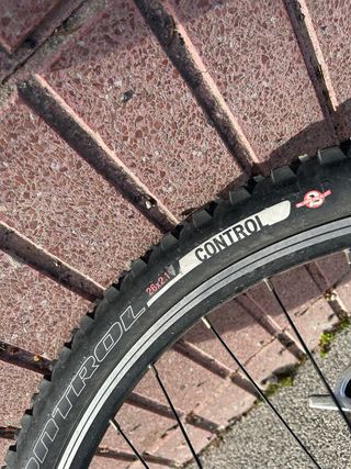 Bicicleta de descenso specialized