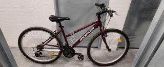 Bicicleta montaña