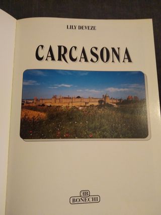 Guia Carcasona