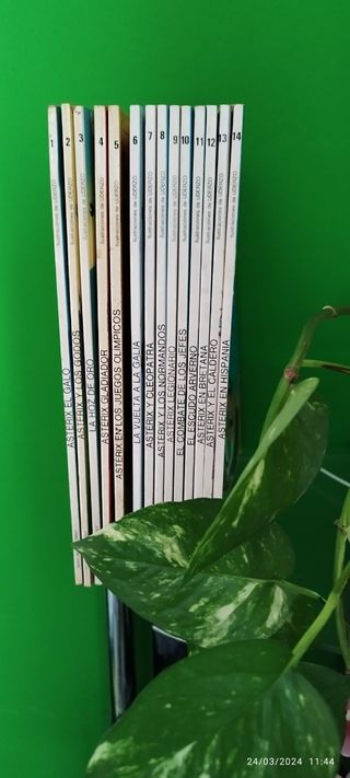 14 comic d Asterix