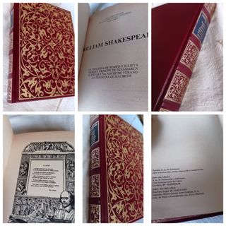 Grandes genios de la literatura universal