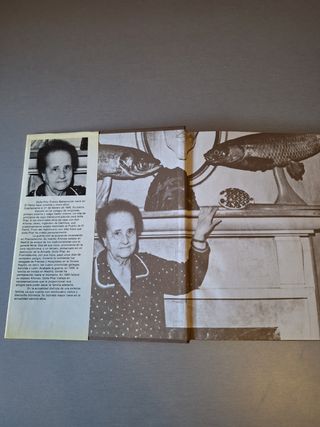 Libro Nosotros los Franco