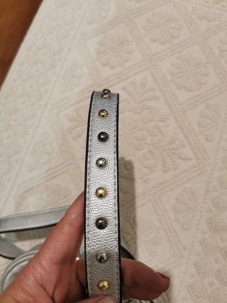 Borsa Marsupio Carpisa color argento