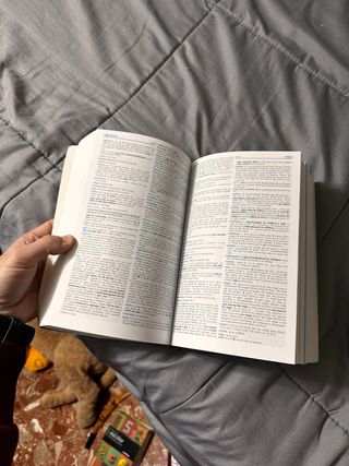 Diccionario en Ingles