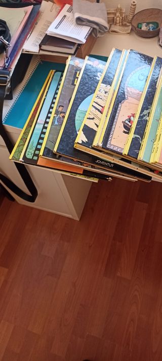 Colección TINTÍN
