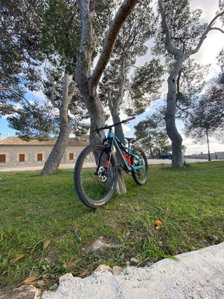 Orbea Occam