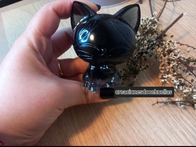 Gato de resina