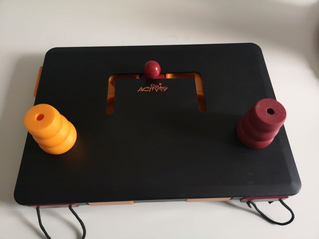 Juego inteligencia perro