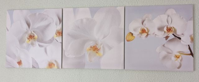 Cuadros flores Ikea