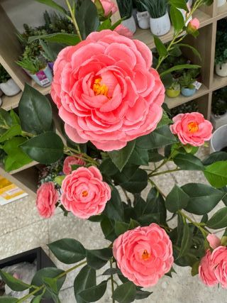 PLANTAS ARTIFICIALES