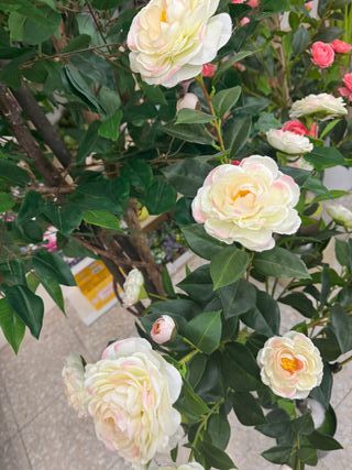 PLANTAS ARTIFICIALES